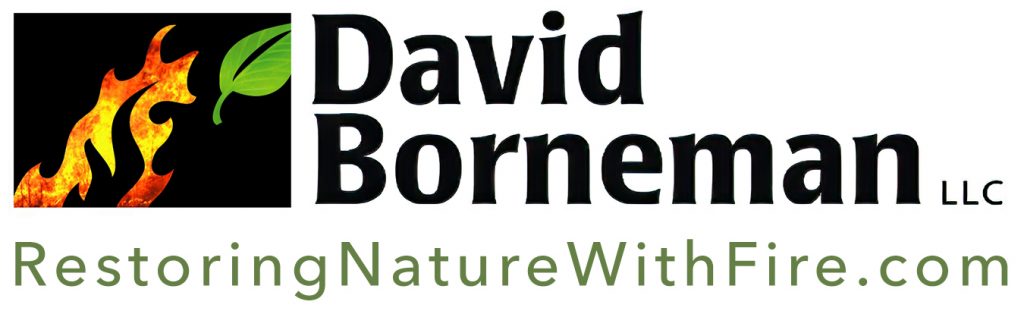 David Borneman - Restoring Nature With Fire